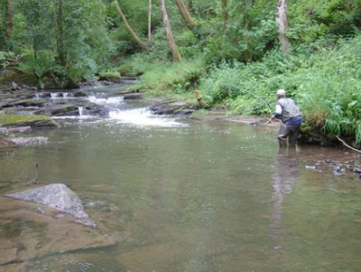 truchas en asturias,pesca truchas,asturias mosca,pesca a mosca pesca mosca